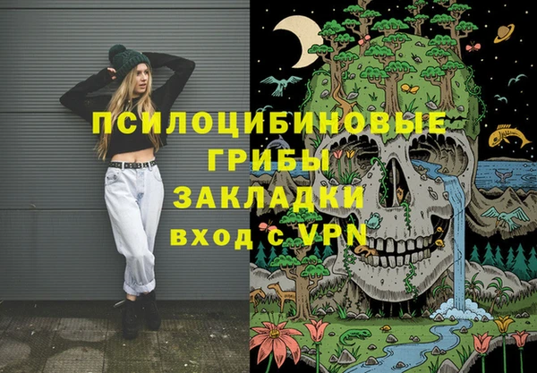 прущий лед Арсеньев