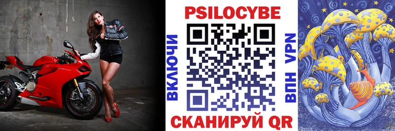 Псилоцибиновые грибы GOLDEN TEACHER наркотики площадка клад Крым